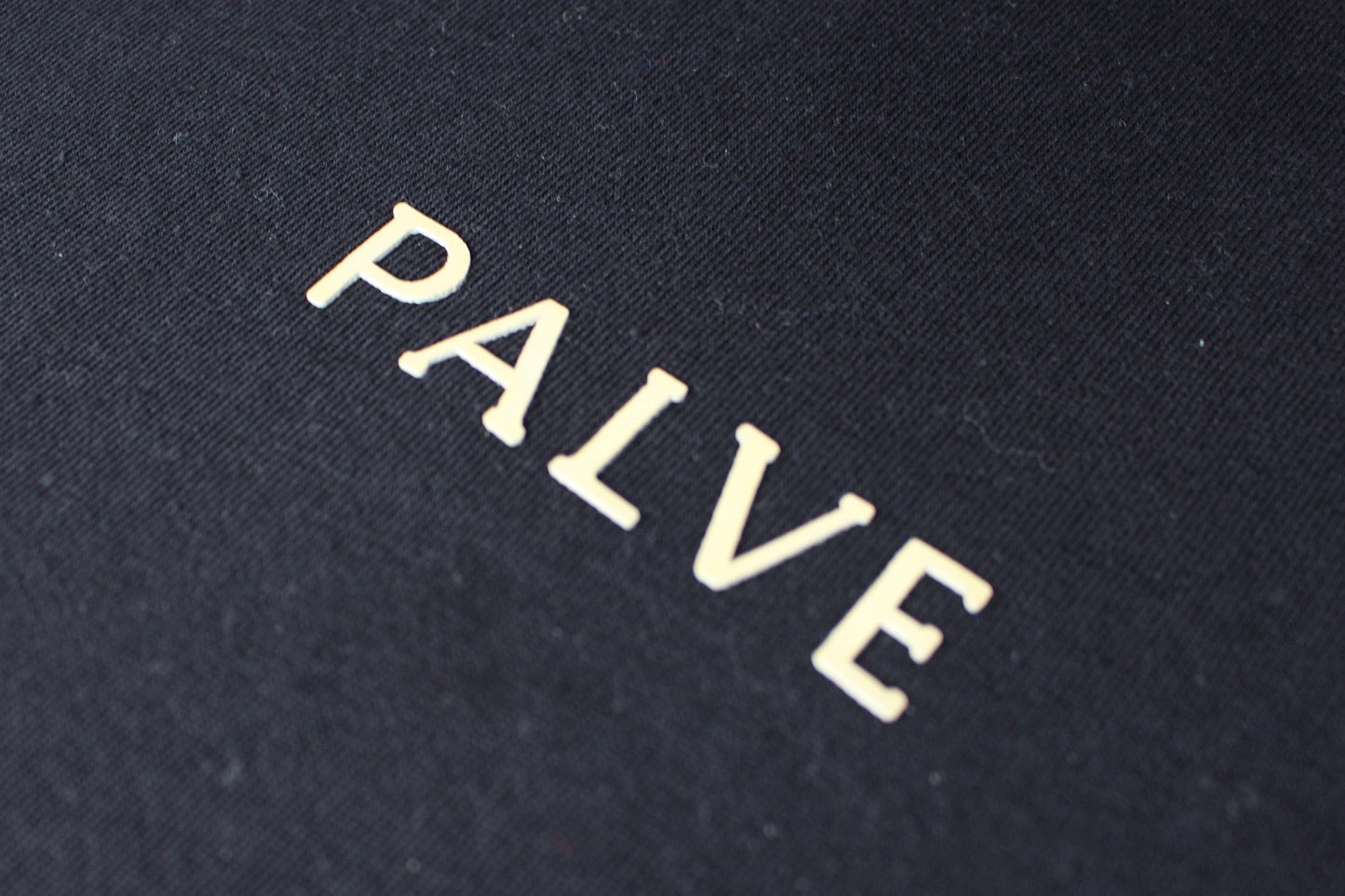 Palve Logo Tee